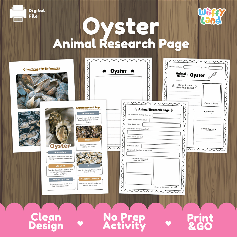 Oyster Animal Research Page Worksheets and Fact Sheet Activity