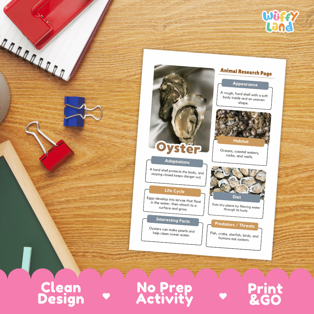Oyster Animal Research Page Worksheets and Fact Sheet Activity