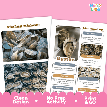 Oyster Animal Research Page Worksheets and Fact Sheet Activity
