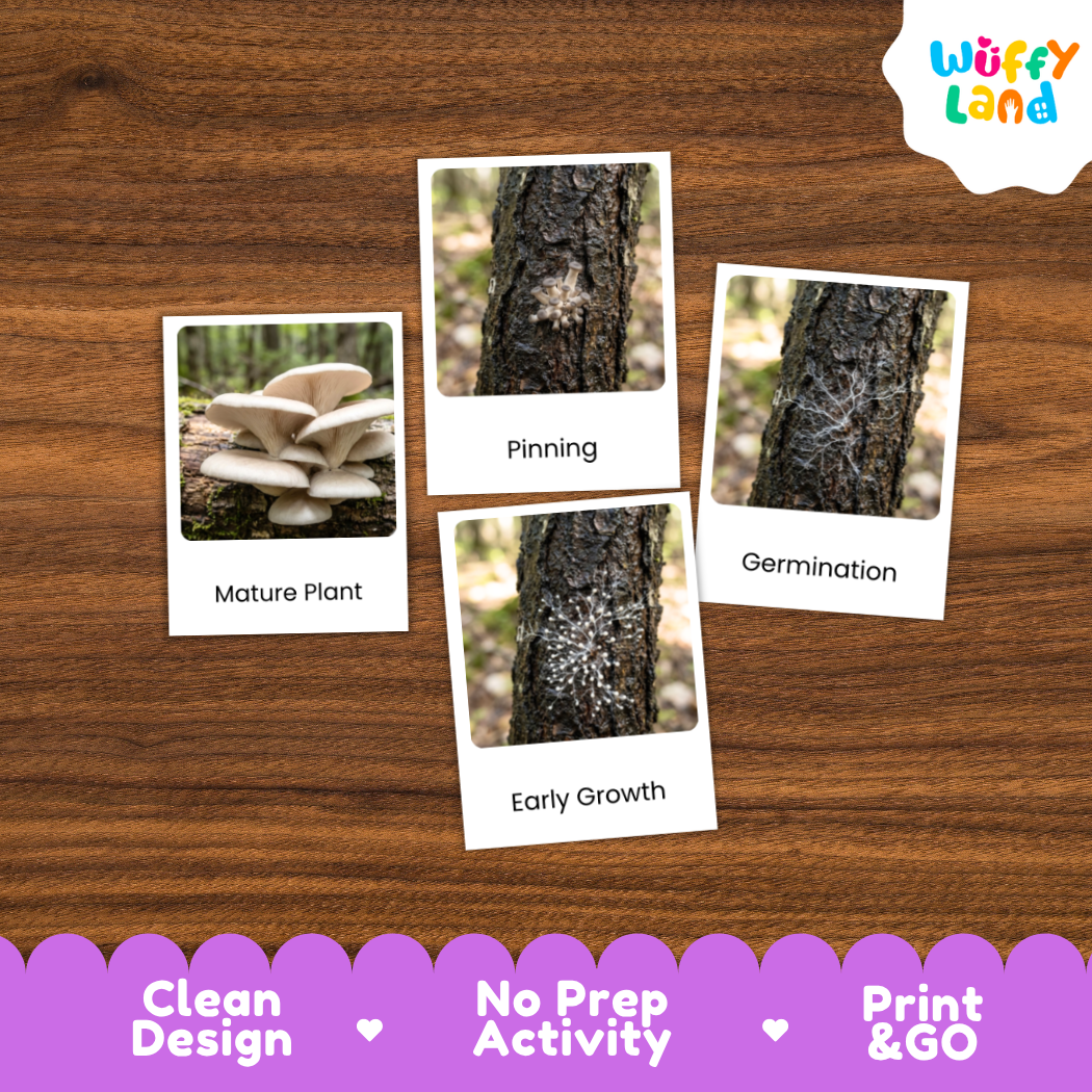 A product listing graphic for a gardening activity card set by Wuffy Land, showing four white cards with labeled photos of mushroom growth stages ('Mature Plant', 'Pinning', 'Early Growth', 'Germination') arranged on a brown wood background. A purple banner at the bottom lists product features: 'Clean Design', 'No Prep Activity', and 'Print & GO'.