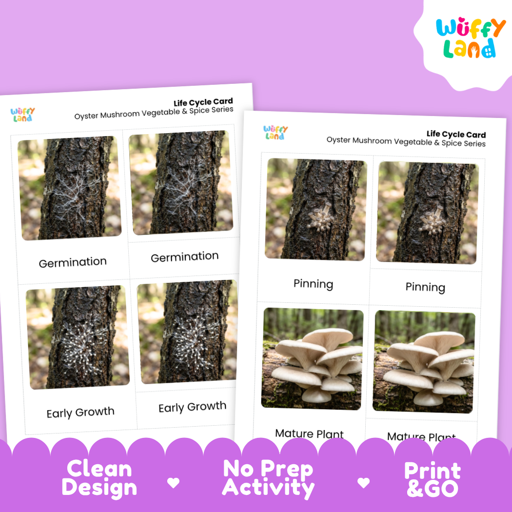 Two printed life cycle cards for oyster mushroom vegetable and spice series shown on a purple background. The cards feature labeled photos of tree bark with white fungal growth, spore rain, and mushroom fruiting.
