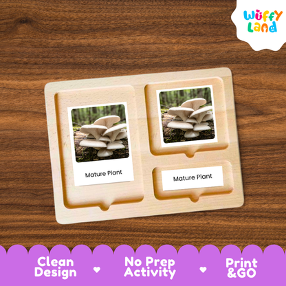 A wooden Montessori-style activity board with two labeled slots reading 'Mature Plant,' each holding a photo card of mushrooms. The board is shown on a wood-grain background, with the Wuffy Land logo in the top right and a promotional banner at the bottom.