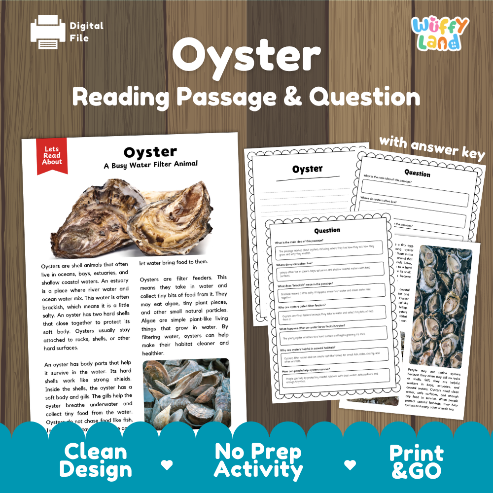Digital reading activity sheet set about oysters, shown on a wood background with the title 'Oyster Reading Passage & Question' and the brand name 'Wiffly Land'. The image includes a sample passage page, worksheet pages, and marketing text at the bottom.