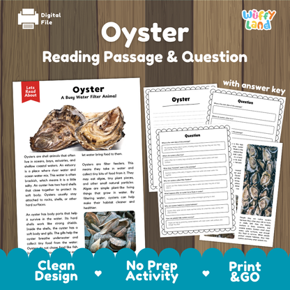 Digital reading activity sheet set about oysters, shown on a wood background with the title 'Oyster Reading Passage & Question' and the brand name 'Wiffly Land'. The image includes a sample passage page, worksheet pages, and marketing text at the bottom.