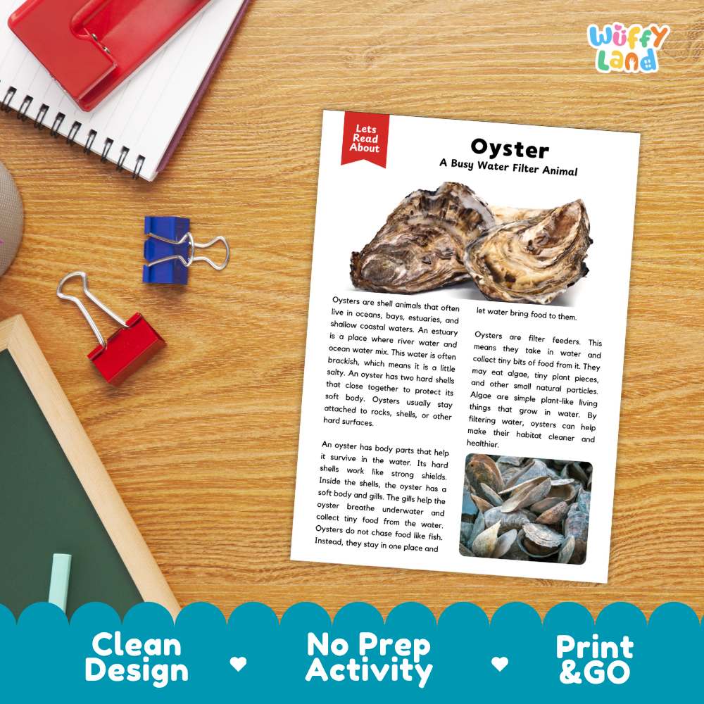 An educational printout activity sheet titled 'Oyster - A Bug Water Filter Animal' by Let's Read Again, displayed on a wooden desk with a red spiral notebook, blue binder clips, and a red folder. The sheet features text, a small oyster photo, and a blue banner at the bottom with product features.
