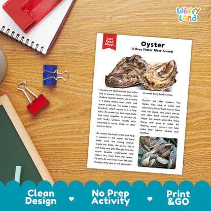 An educational printout activity sheet titled 'Oyster - A Bug Water Filter Animal' by Let's Read Again, displayed on a wooden desk with a red spiral notebook, blue binder clips, and a red folder. The sheet features text, a small oyster photo, and a blue banner at the bottom with product features.