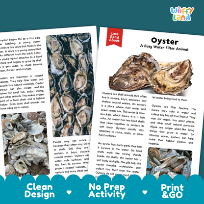 Oyster Reading Passage and Questions Worksheets with Answer Key