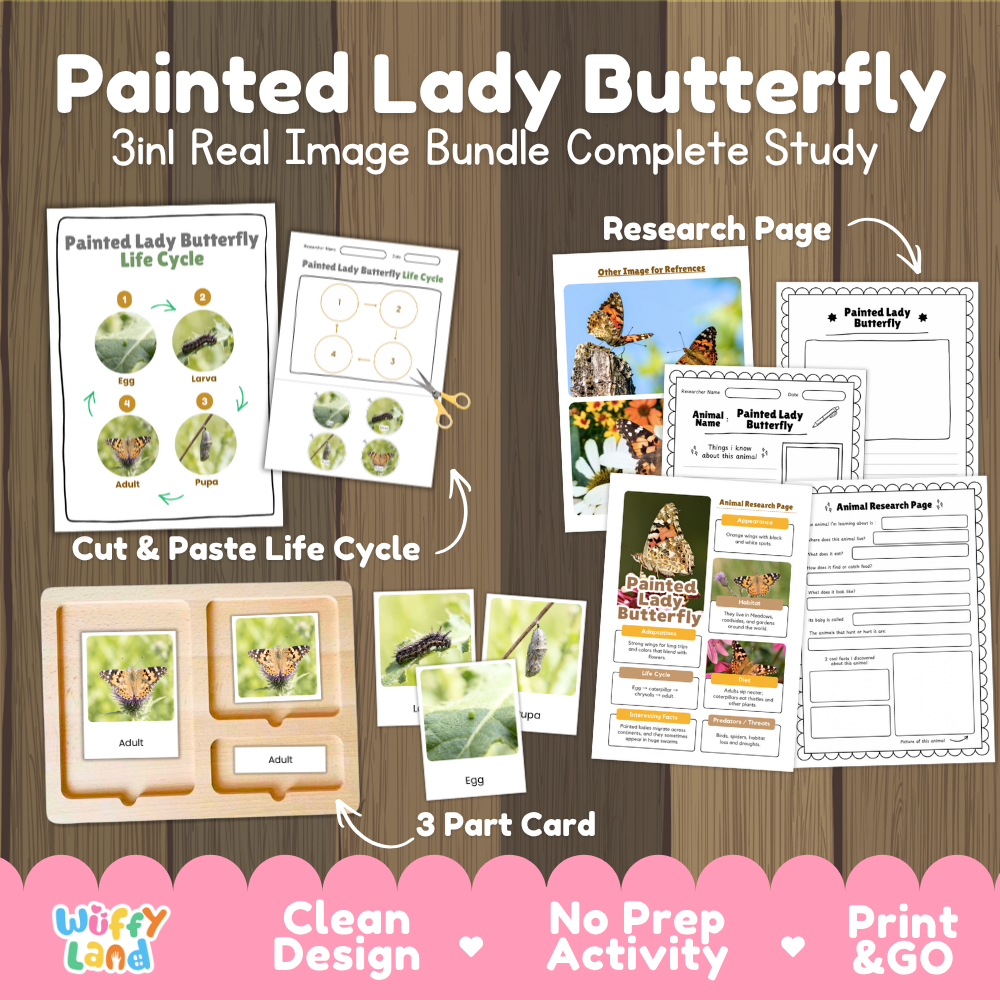 Painted Lady Butterfly 3-in-1 real image bundle complete study cover showing cut and paste life cycle, 3 part cards, and research pages