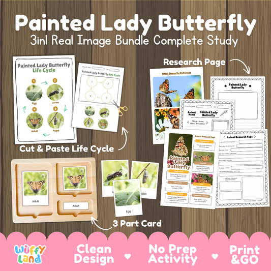 Painted Lady Butterfly 3-in-1 real image bundle complete study cover showing cut and paste life cycle, 3 part cards, and research pages