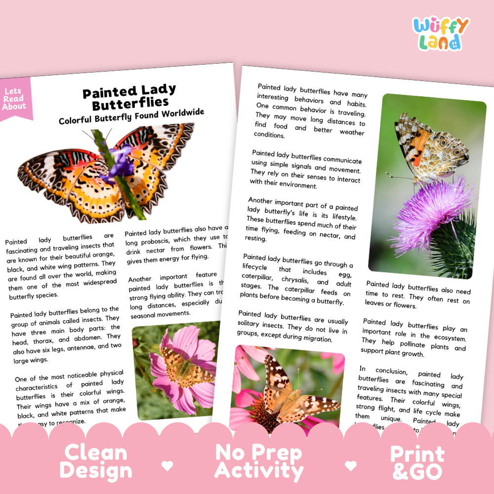 Painted Lady Butterflies Reading Passage and Comprehension Questions Worksheets