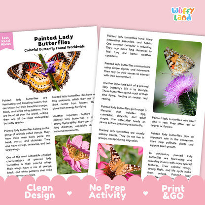 Painted Lady Butterflies Reading Passage and Comprehension Questions Worksheets