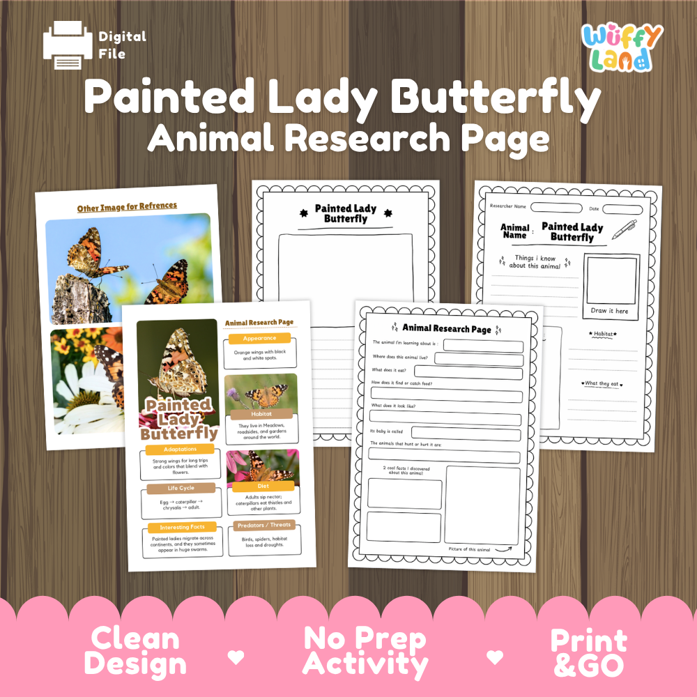 A digital product preview for a 'Painted Lady Butterfly Animal Research Page' by Wiffly Land, displayed on a dark wood background with a pink banner at the bottom. The preview shows the cover page, an instruction sheet, and two blank reference pages.