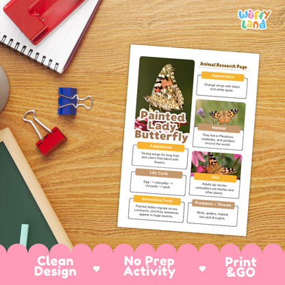 Painted Lady Butterfly Animal Research Page Worksheets