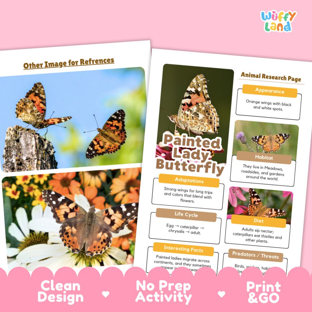 Two printed activity worksheet pages for a butterfly-themed educational craft, shown on a pink background. The left page has butterfly photos and the title 'Other Image for References'; the right page includes sections like 'Appearance', 'Adaptations', 'Life Cycle', and 'Diet' with labeled butterfly images.