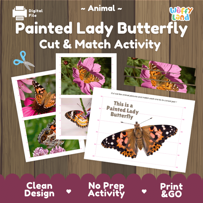 Painted Lady Butterfly Cut and Match Activity Printables Worksheets