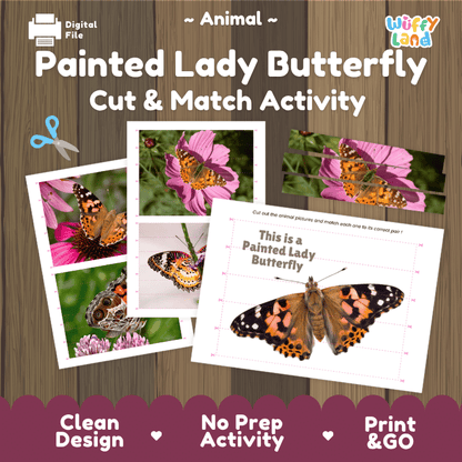 Painted Lady Butterfly Cut and Match Activity Printables Worksheets