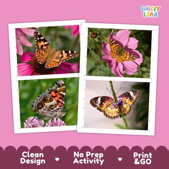 Painted Lady Butterfly Cut and Match Activity Printables Worksheets
