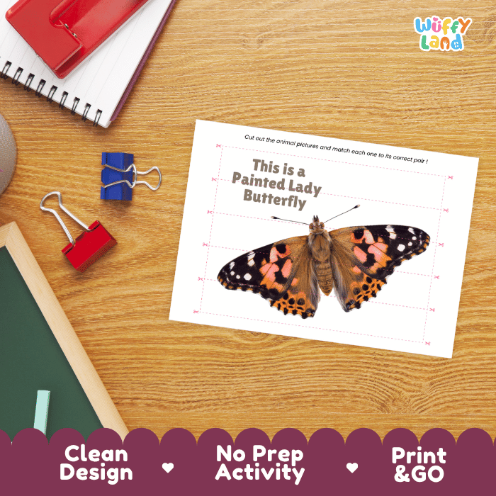 Painted Lady Butterfly Cut and Match Activity Printables Worksheets