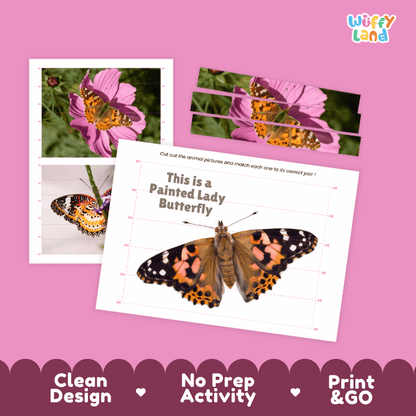 Painted Lady Butterfly Cut and Match Activity Printables Worksheets