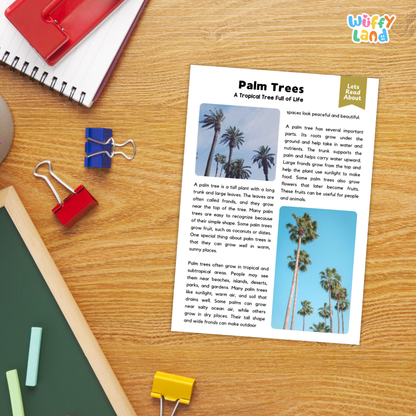 Palm Tree Plant Reading Passages Worksheets and Comprehension Activity