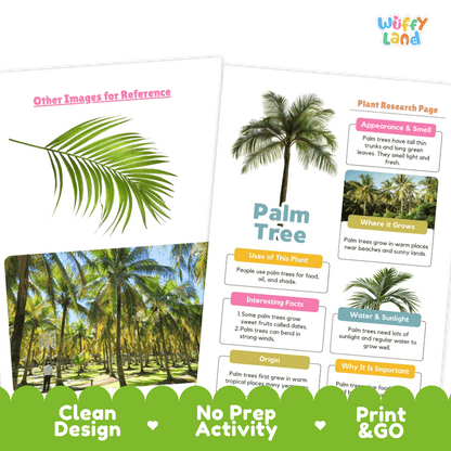 Palm Tree Plant Research Page and Worksheets Print and Go Activity