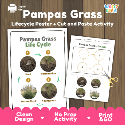 Pampas Grass Life Cycle Poster and Cut and Paste Worksheet Activity