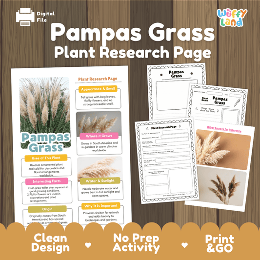 Student plant research page writing worksheets with real close up feathery pampas grass plumes and garden landscape photos, lined note-taking prompts, and drawing frames