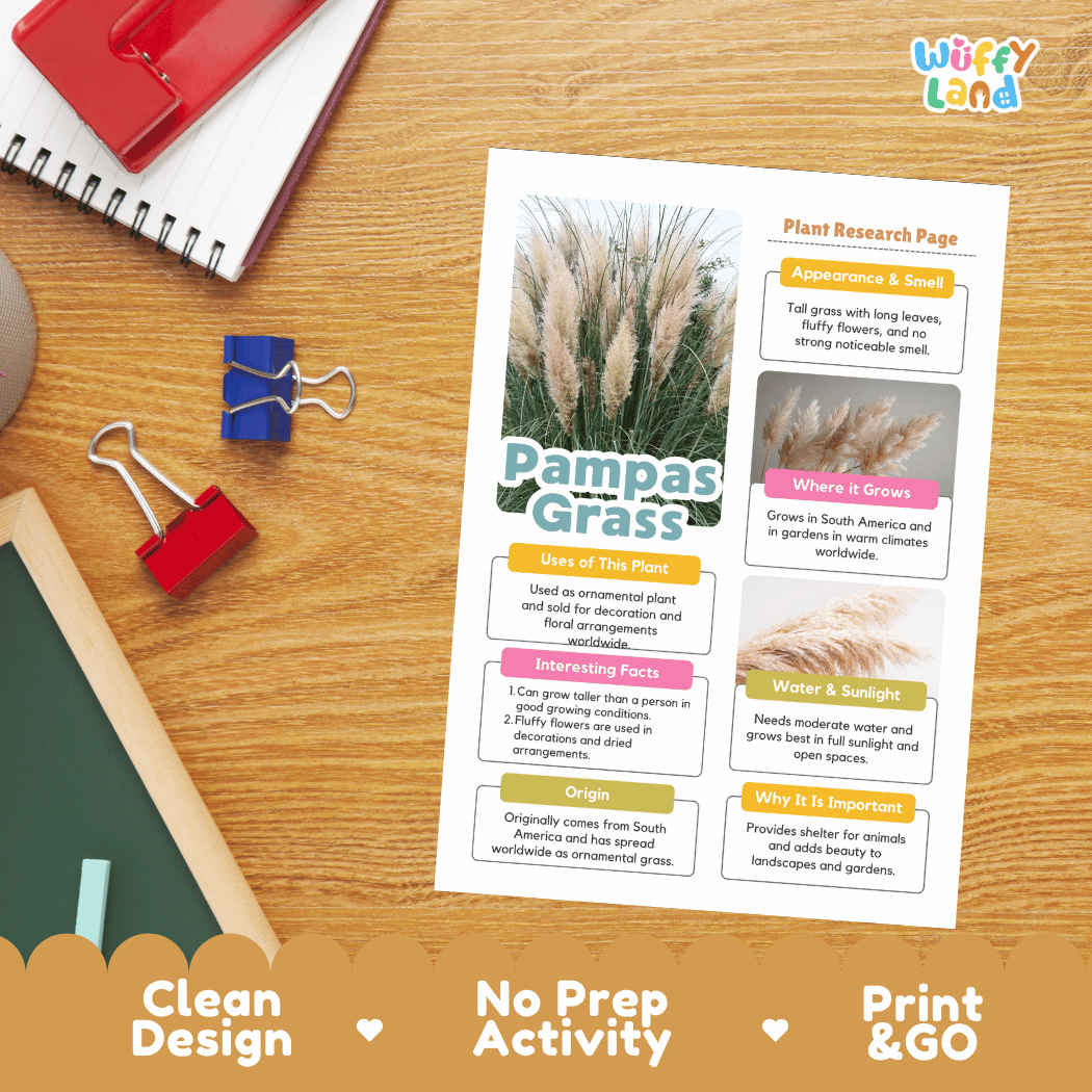 Pampas Grass Plant Research Page Worksheets and Fact Sheet