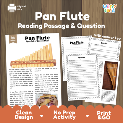 Pan Flute reading comprehension passage and questions printable activity pack with answer key for elementary students