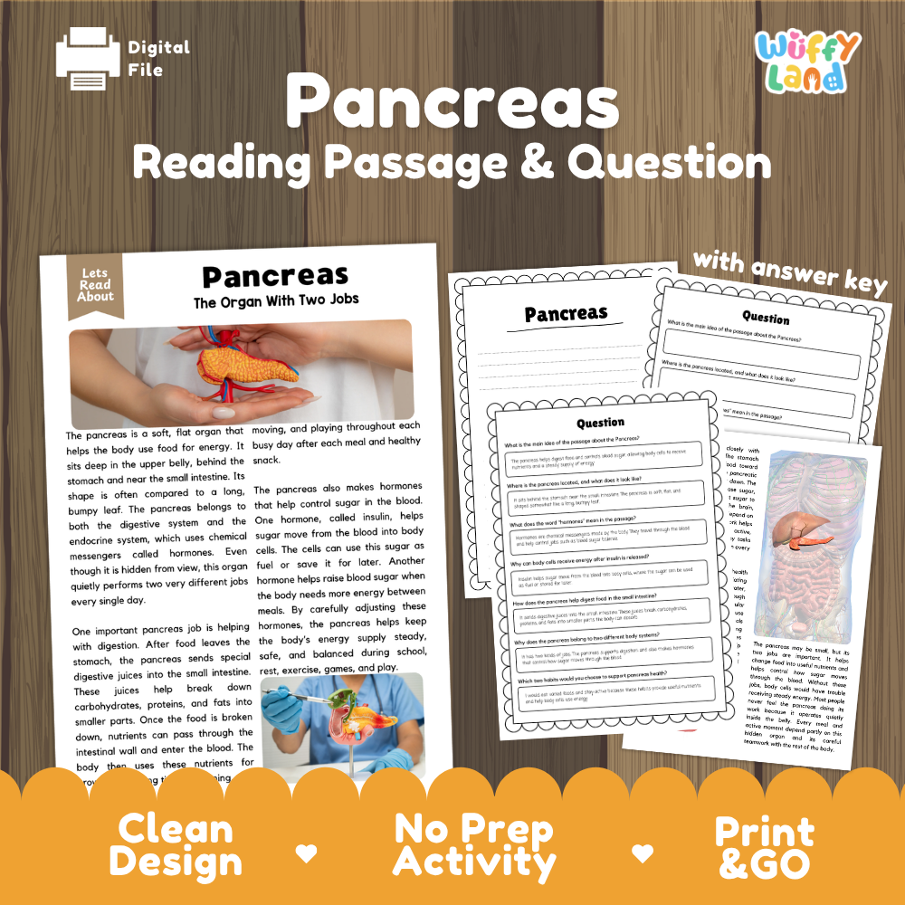 Pancreas reading comprehension passage and questions printable activity pack with answer key for elementary students