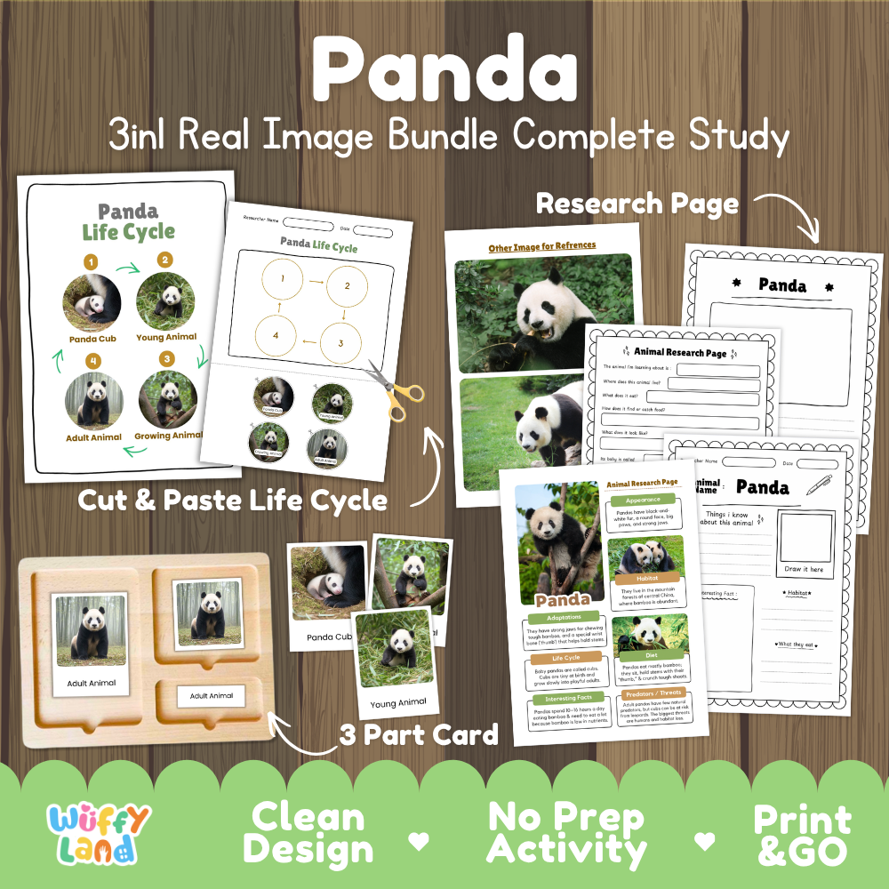 Panda 3-in-1 real image bundle complete study cover showing cut and paste life cycle, 3 part cards, and research pages