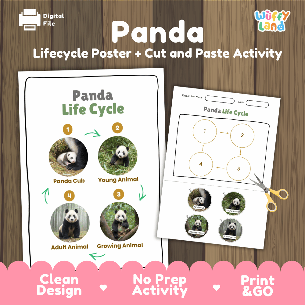 Panda Life Cycle Poster and Cut and Paste Activity Worksheets