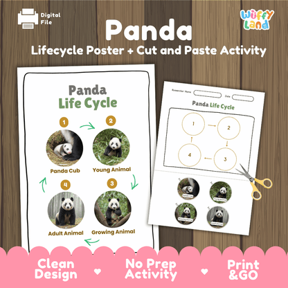 Panda Life Cycle Poster and Cut and Paste Activity Worksheets