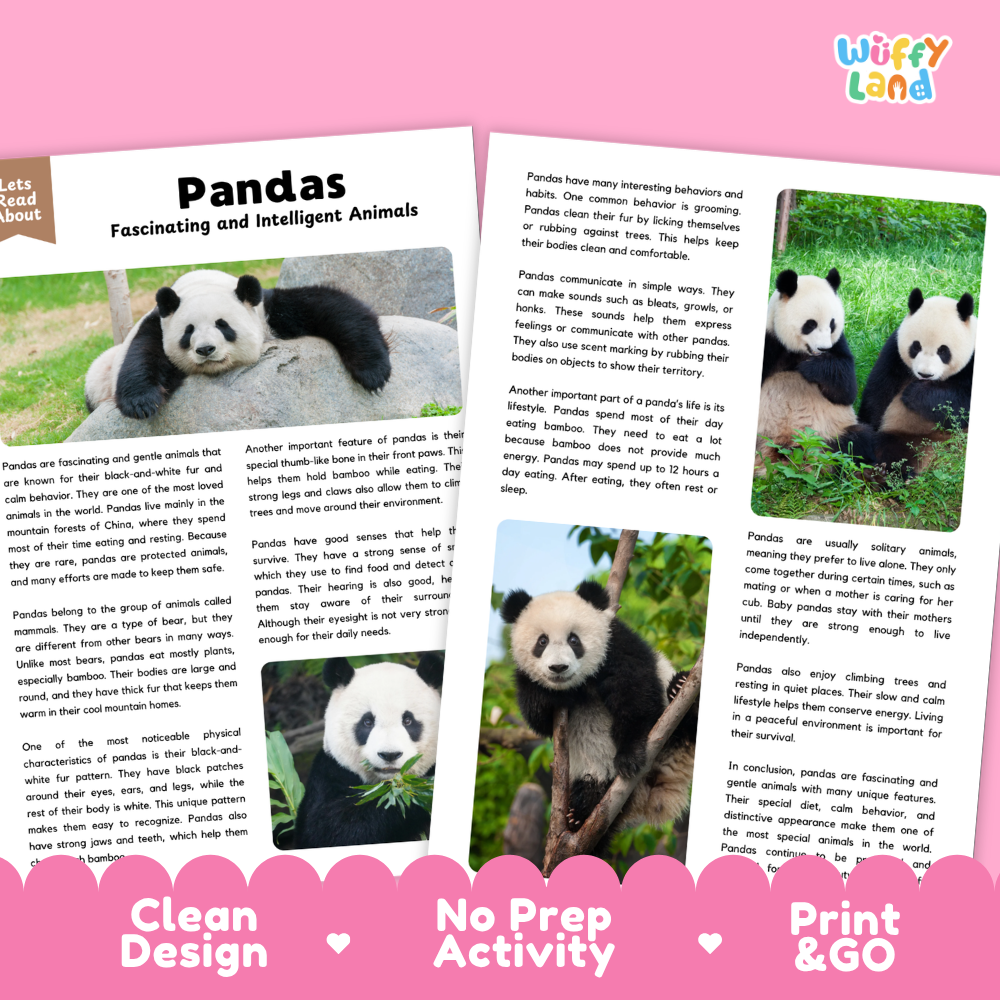 Pandas Reading Passage and Comprehension Questions Worksheets with Answer Key