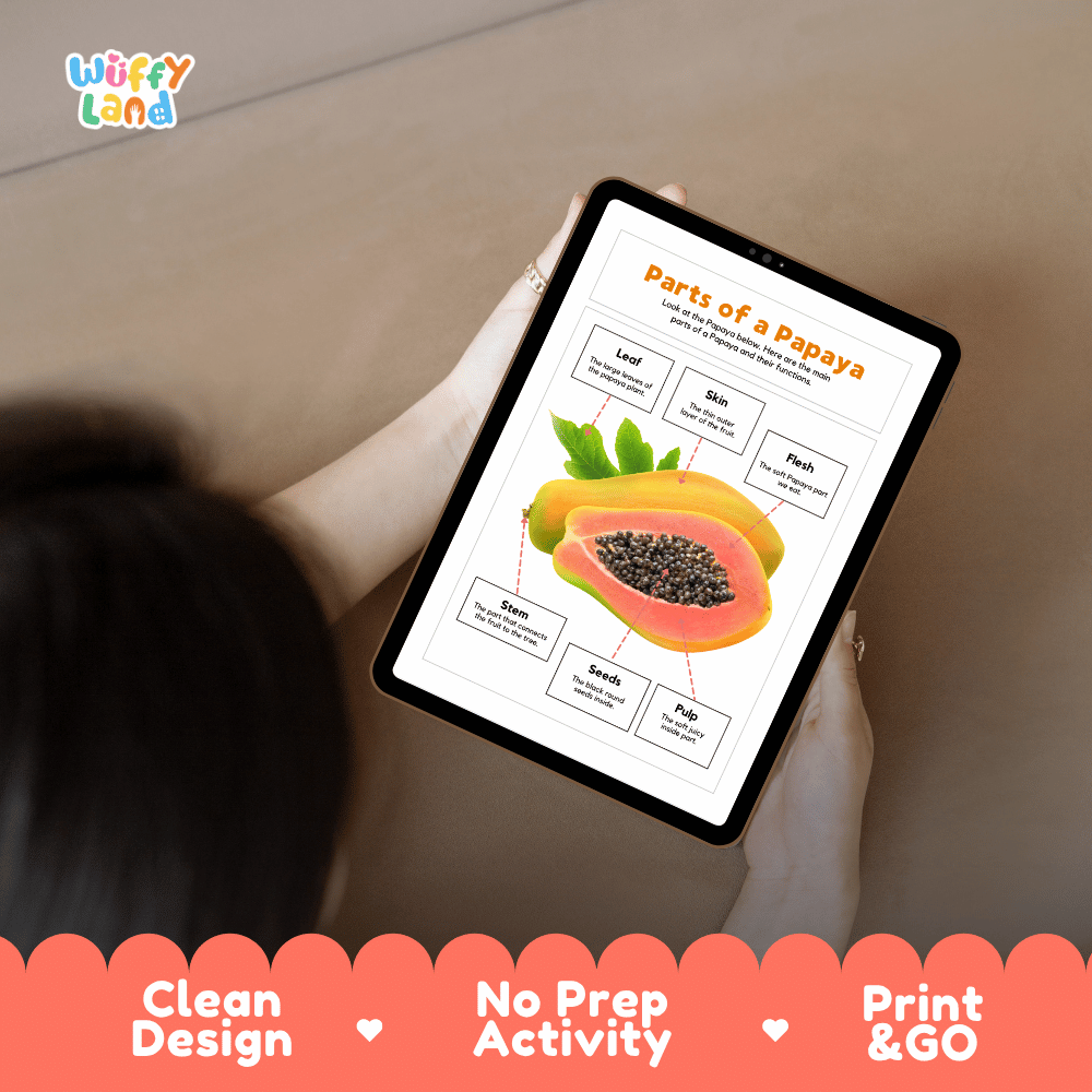Educational cut and paste papaya fruit anatomy worksheet with printable word cutout tiles for skin, flesh, leaf, stem, seeds, and pulp