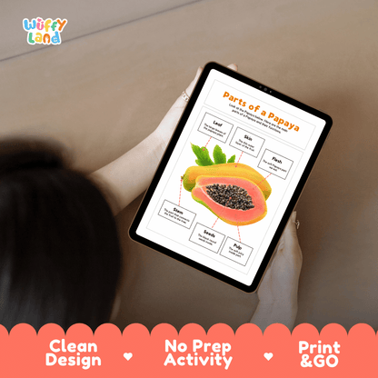 Educational cut and paste papaya fruit anatomy worksheet with printable word cutout tiles for skin, flesh, leaf, stem, seeds, and pulp