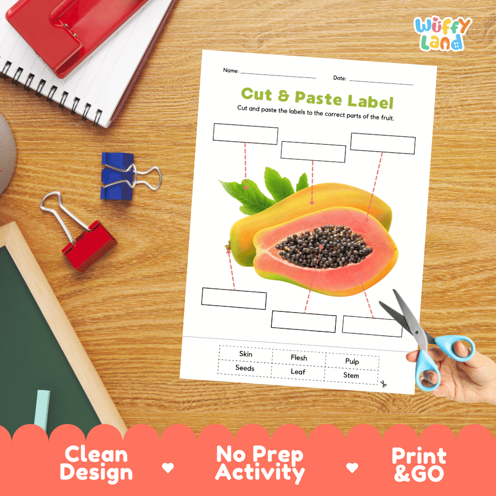 Printable plant biology worksheet showing sliced and whole fresh papayas with blank labeling boxes and a vocabulary word bank for writing practice
