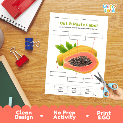 Printable plant biology worksheet showing sliced and whole fresh papayas with blank labeling boxes and a vocabulary word bank for writing practice
