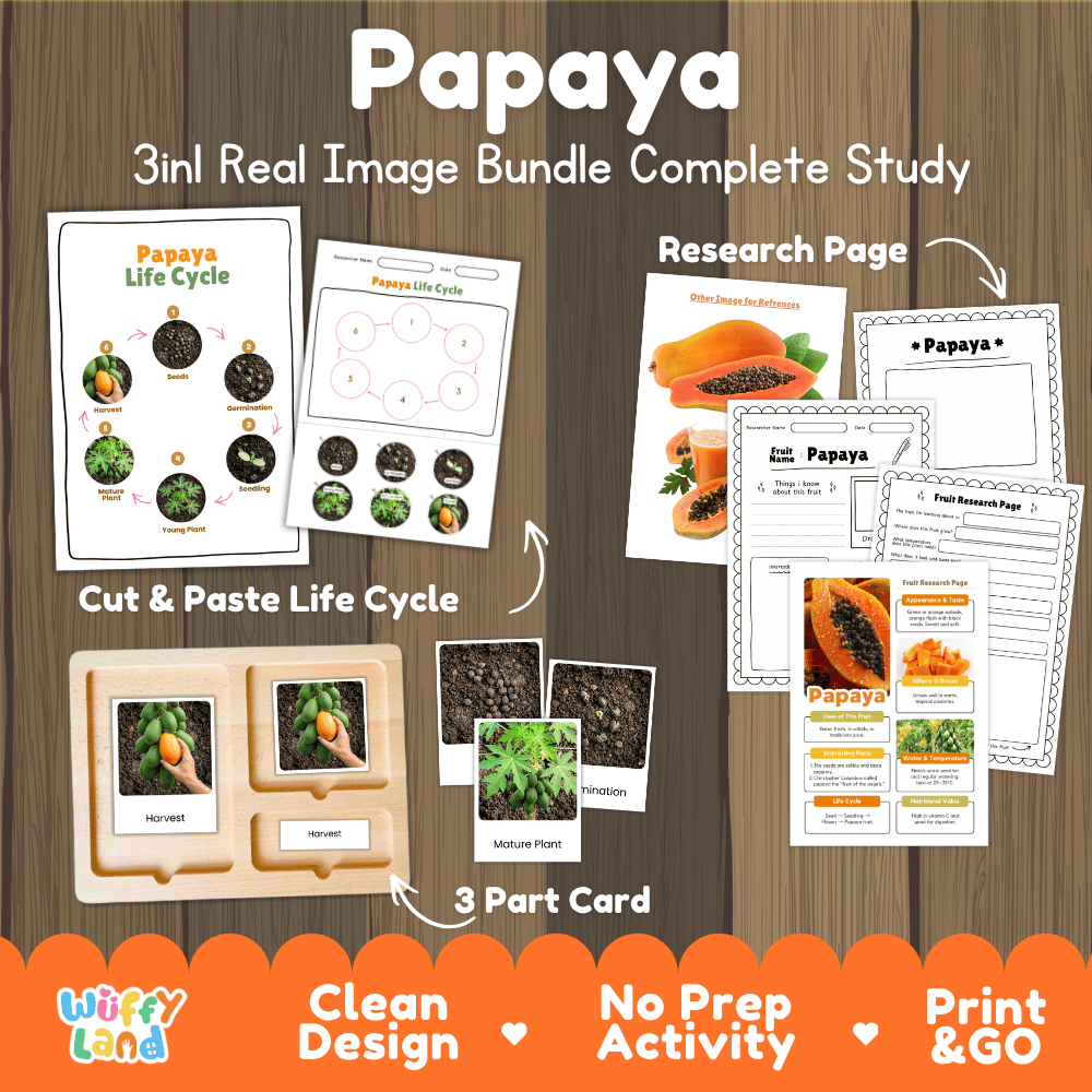 Papaya tree life cycle 3in1 real image bundle complete study overview featuring cut and paste worksheets, Montessori 3-part cards, and research pages from Wuffy Land 🍈🌱
