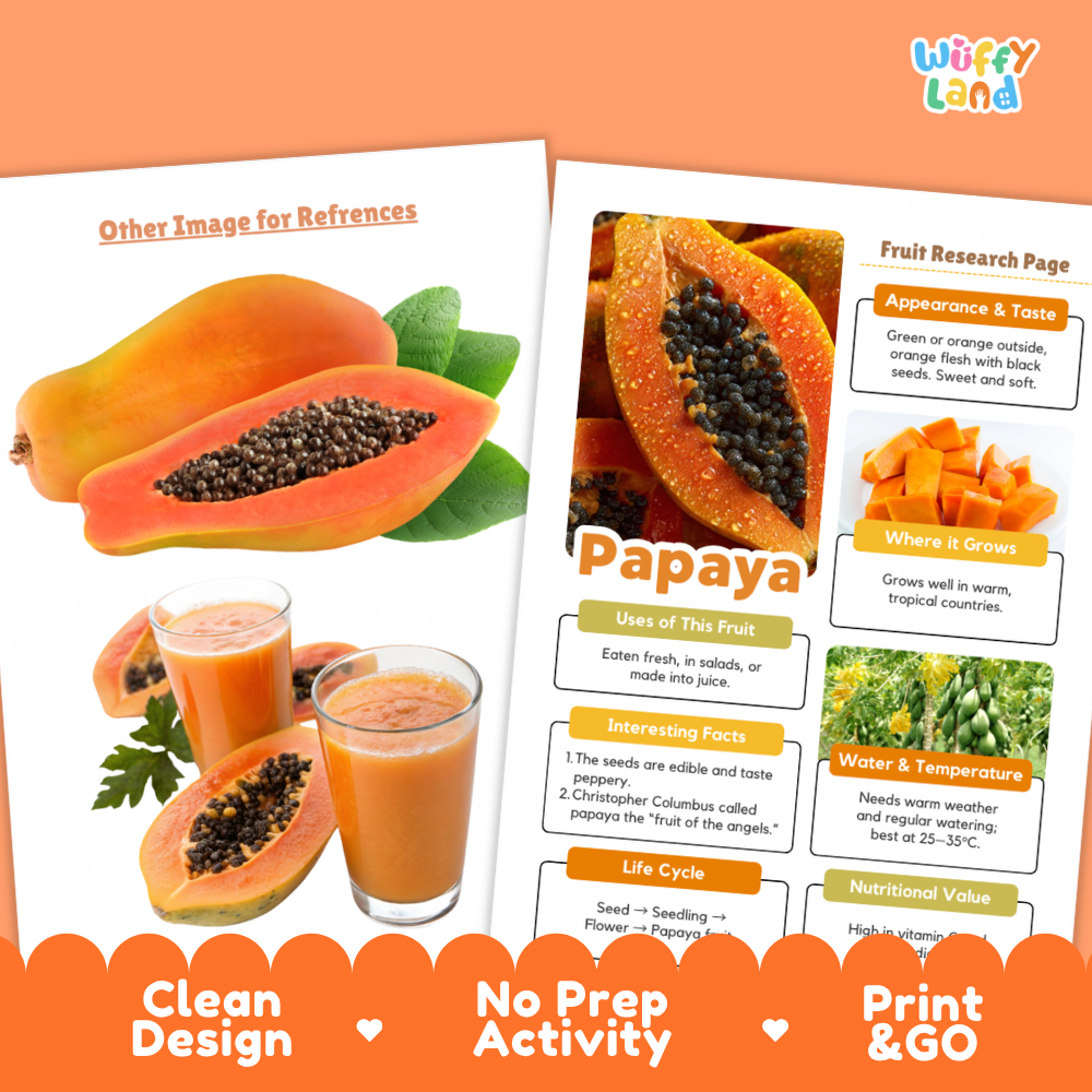 A promotional graphic for a papaya fruit research activity print set by Wiffly Land. The image shows two printed worksheet pages with papaya photos, labels, and text boxes, plus orange banners at the bottom reading 'Clean Design', 'No Prep Activity', and 'Print & GO'.