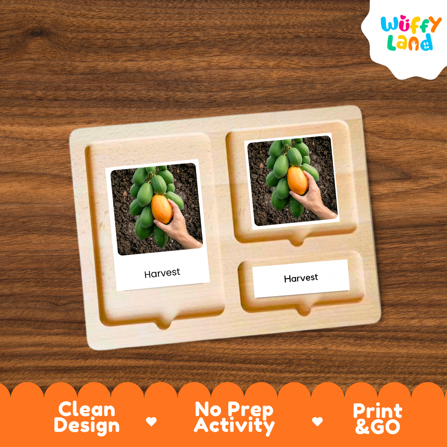 Papaya Life Cycle Flashcards | Montessori 3 Part Cards Science Activity