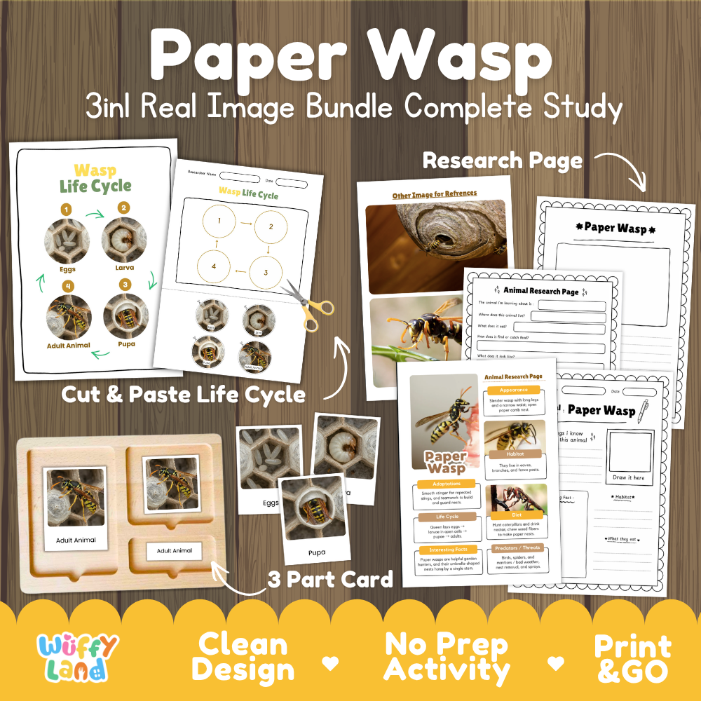 Paper Wasp 3-in-1 real image bundle complete study cover showing cut and paste life cycle, 3 part cards, and research pages