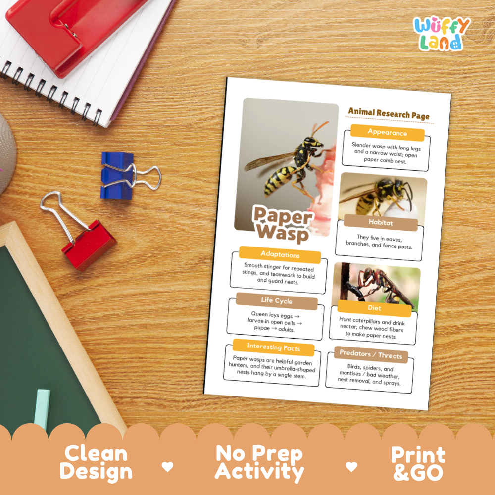 An educational activity sheet titled 'Paper Wasp' laid on a wooden desk, surrounded by school supplies like a spiral notebook, binder clips, and a red pencil case. The sheet has a clean design with text boxes, images, and a 'Wiffly Land' logo in the top right corner.