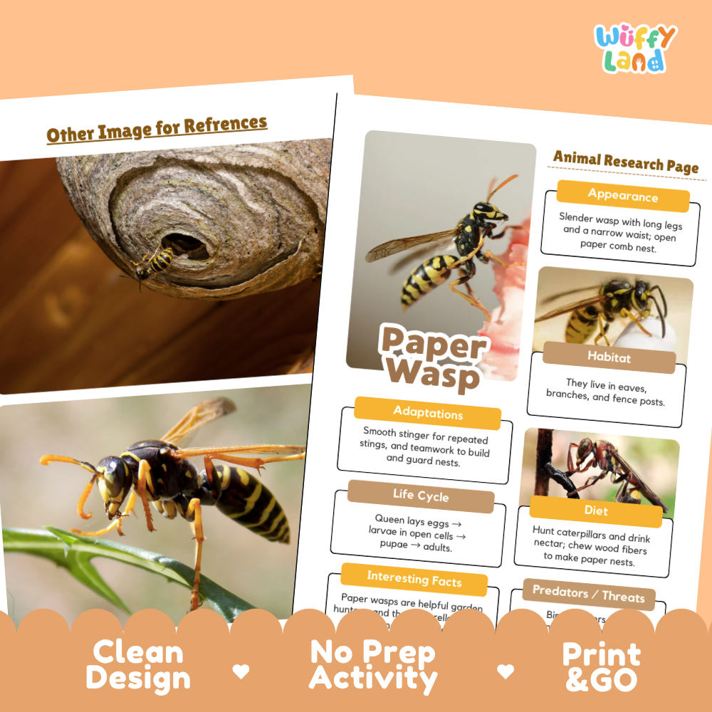 Paper Wasp Animal Research Page Worksheets