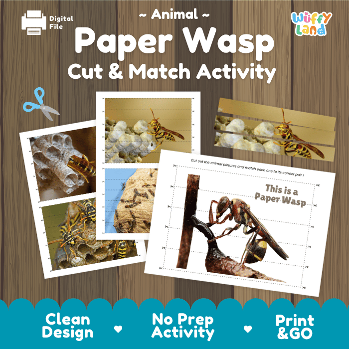 Paper Wasp Cut and Match Activity Printables Worksheets