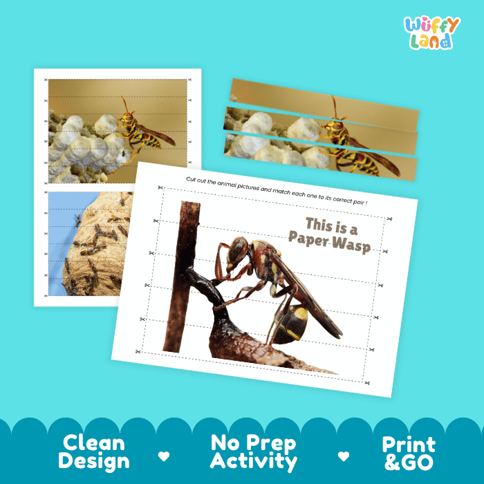 Paper Wasp Cut and Match Activity Printables Worksheets