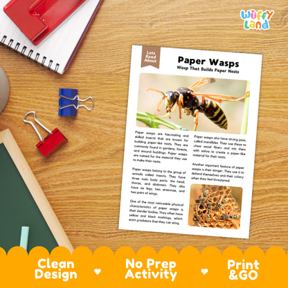 Paper Wasps Reading Passage and Comprehension Questions Worksheets