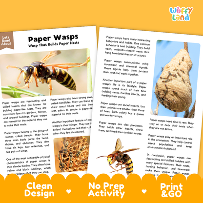 Paper Wasps Reading Passage and Comprehension Questions Worksheets