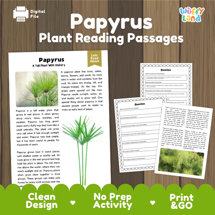 Papyrus Plant Reading Passages and Comprehension Questions Worksheets