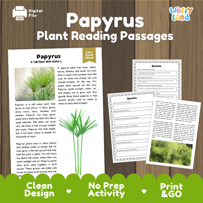 Papyrus Plant Reading Passages and Comprehension Questions Worksheets